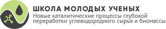 Школа молодых учёных. Новые каталитические процессы глубокой переработки углеводородного сырья и биомассы.