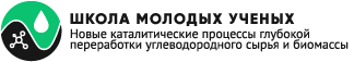 Школа молодых учёных. Новые каталитические процессы глубокой переработки углеводородного сырья и биомассы.