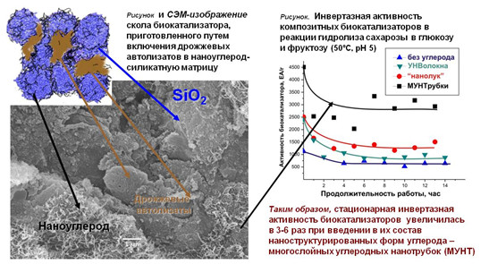 Биокатализаторы на основе ферментативно-активных субстанций, иммобилизованных в композитные наноуглерод-силикатные матрицы